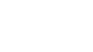 Logo Noesis_White